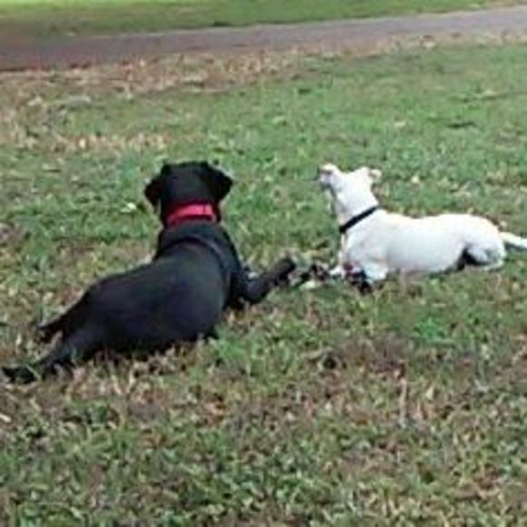 Meet your Posher, Tina - Picture 1 of 1